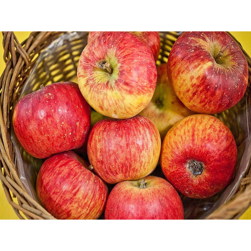 Drzewko Jabłoń Topaz 2-322